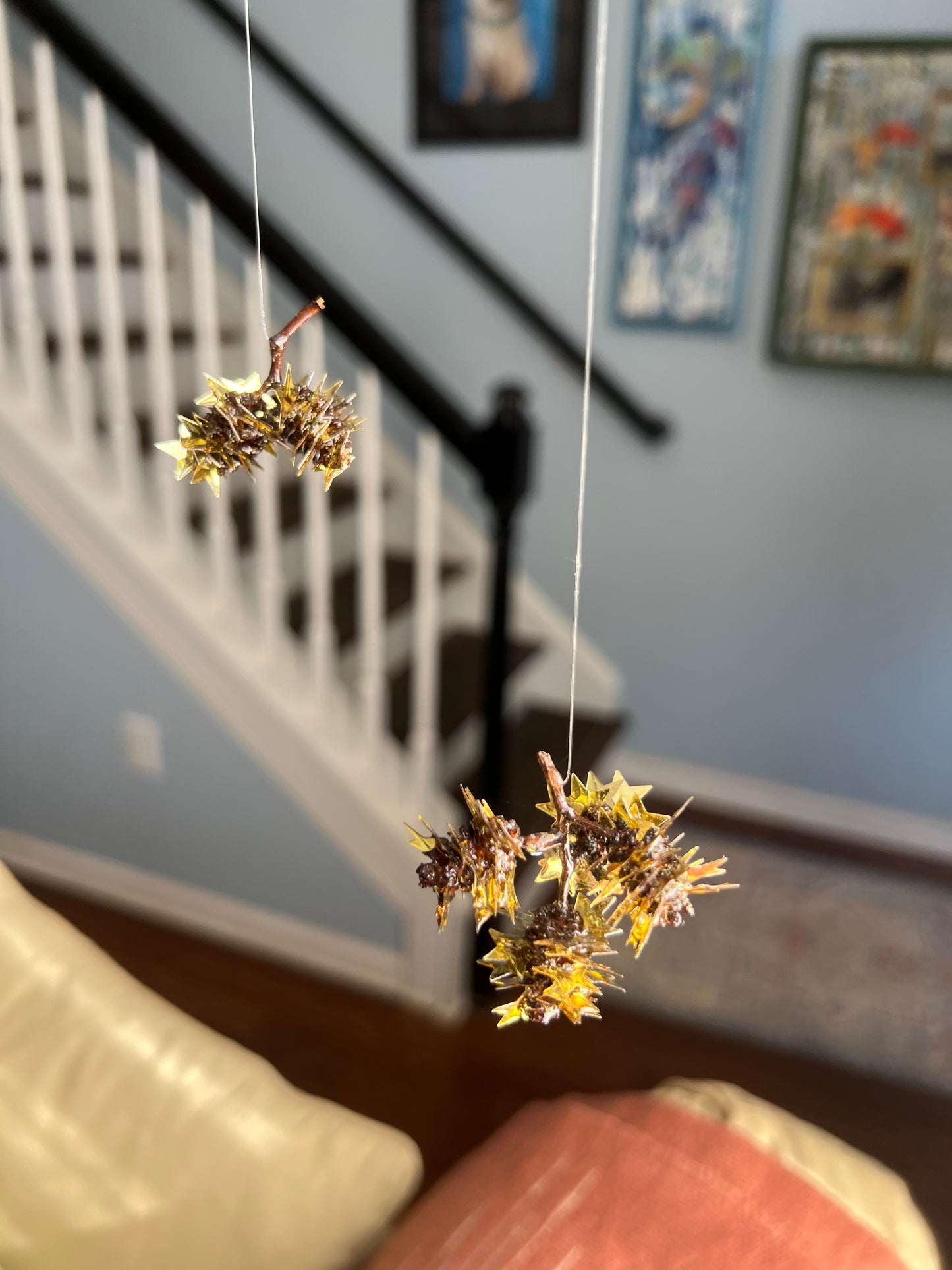 “Star light, star bright”