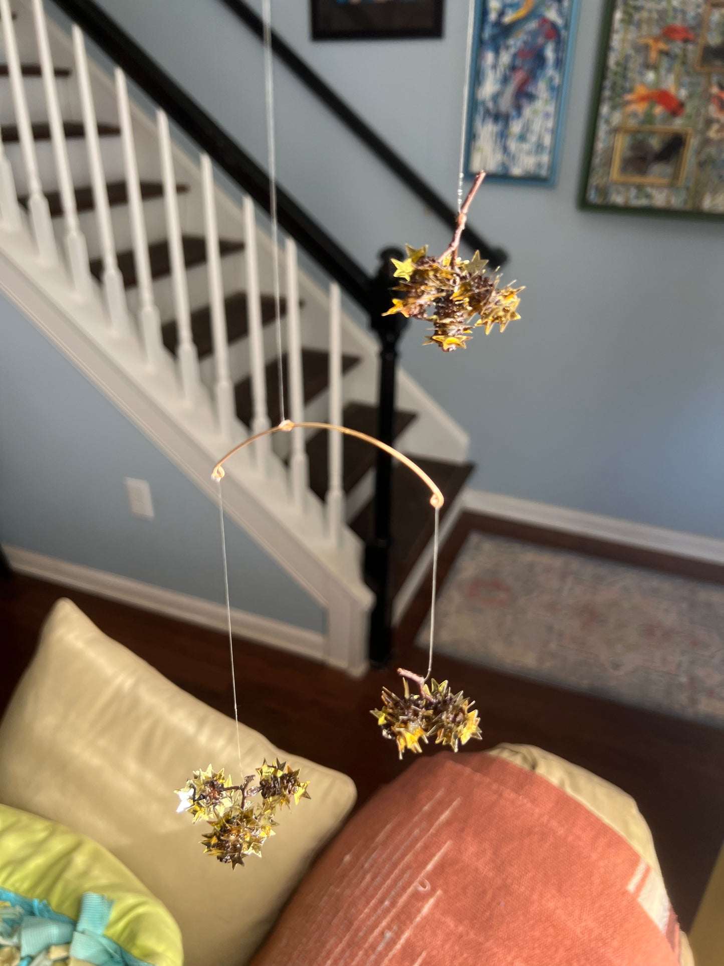 “Star light, star bright”