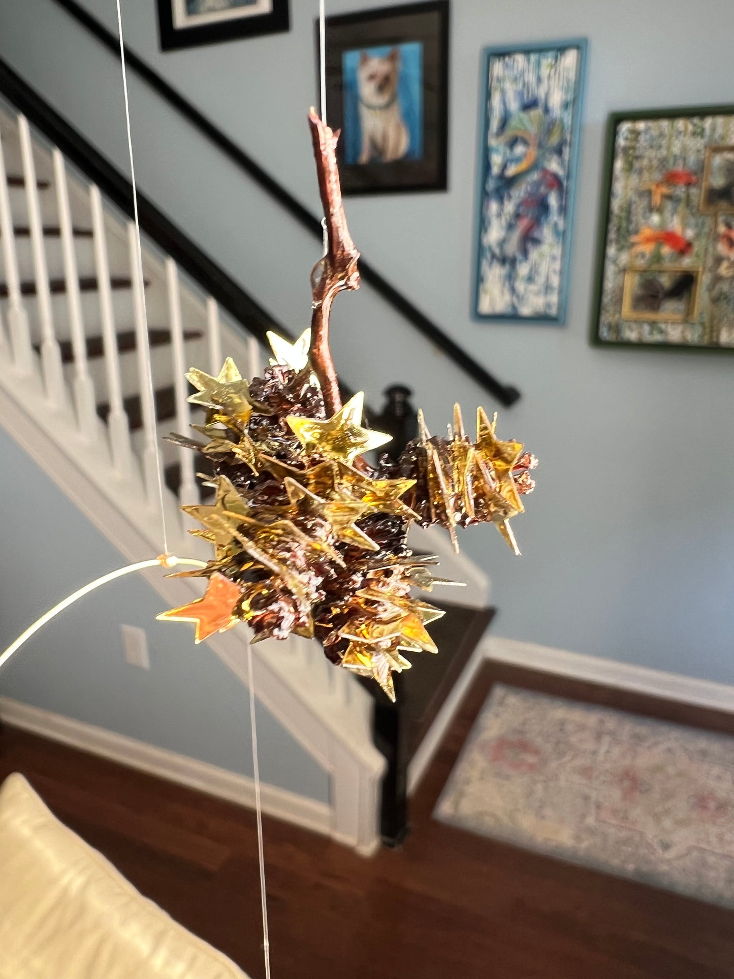 “Star light, star bright”