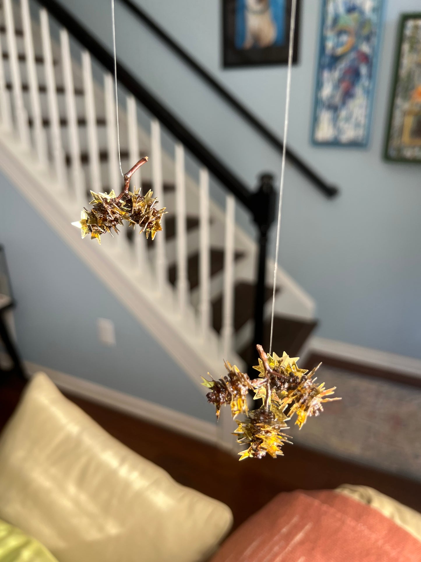 “Star light, star bright”