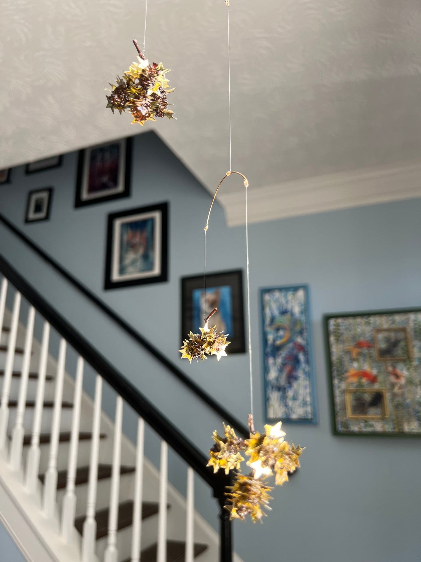 “Star light, star bright”