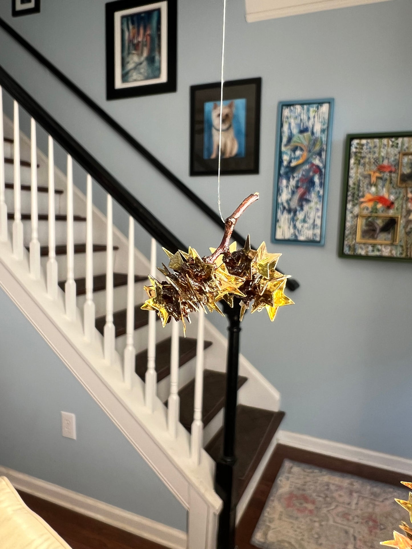 “Star light, star bright”