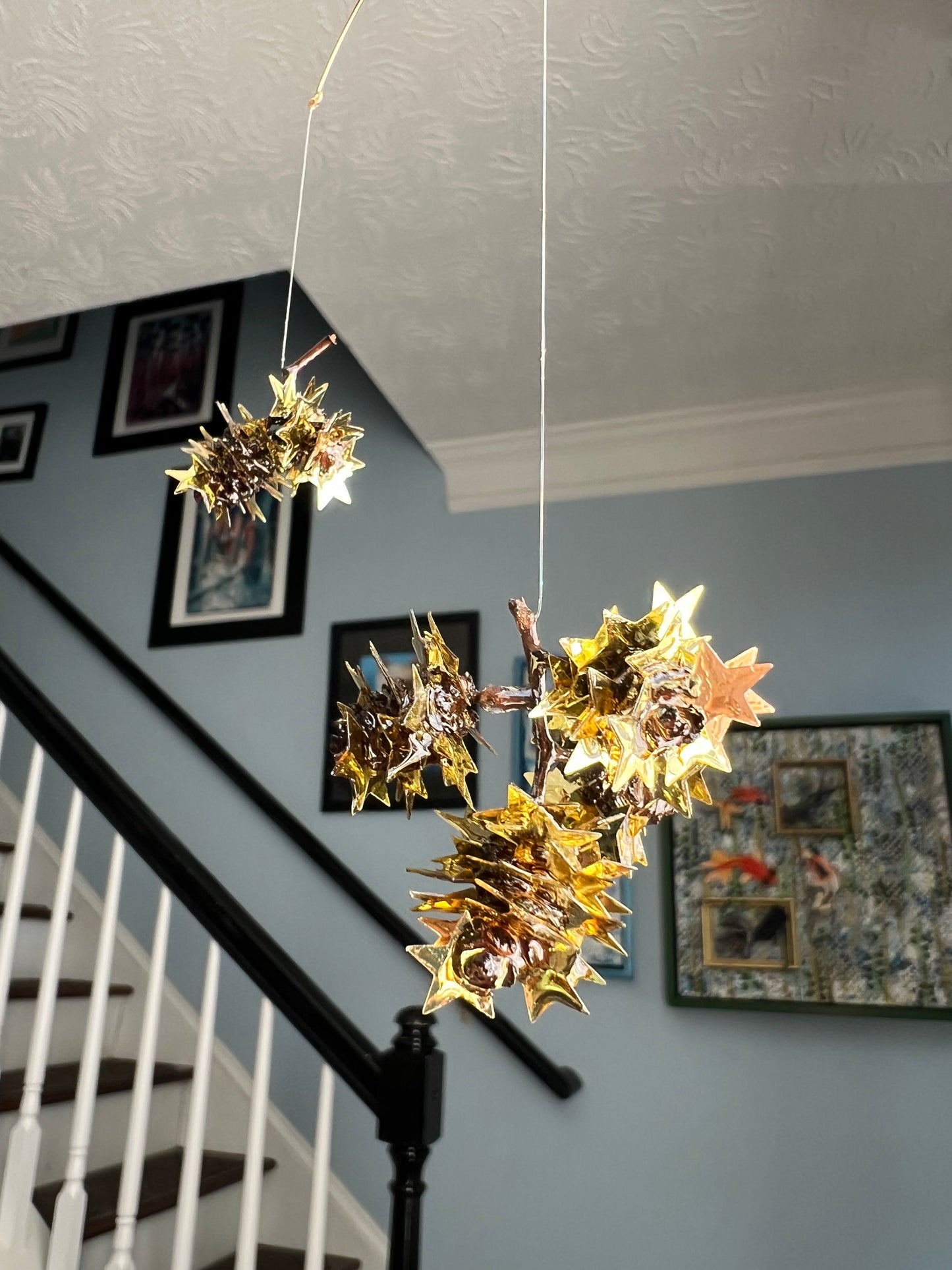 “Star light, star bright”